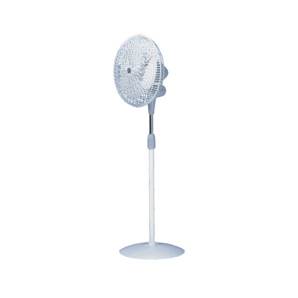 Vortice 60620 GORDON
